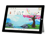 玉树Surface 无法开启、Windows 无法启动或电池无法充电